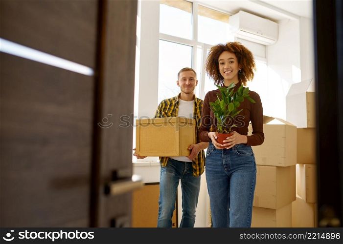 Happy young couple on moving day carrying cardboard boxes with belongings and flower. Couple on moving day carrying cardboard boxes