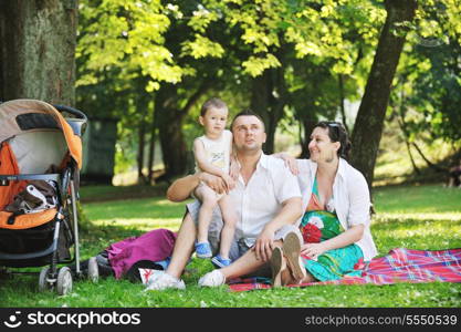 Happy young Family at park relaxing and have fun with pregnant woman