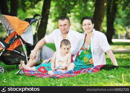 Happy young Family at park relaxing and have fun with pregnant woman