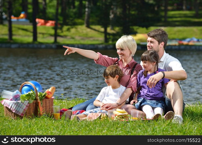 Happy young family playing together with kids and eat healthy food in a picnic outdoors