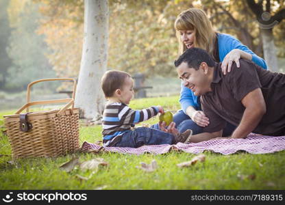 Happy Young Mixed Race Ethnic Family Having a Picnic In The Park.