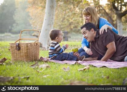 Happy Young Mixed Race Ethnic Family Having a Picnic In The Park.