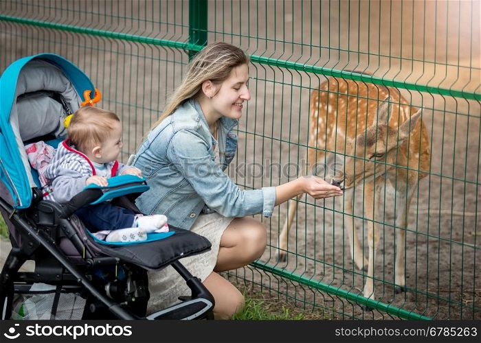 Happy young mother with her baby boy feeding beautiful deer in the zoo