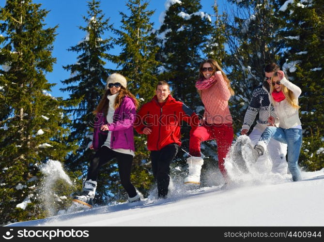 happy young people group have fun and enjoy fresh snow at beautiful winter day