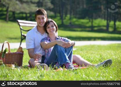 happy young romantic couple in love having a picnic outdoor on a summer day