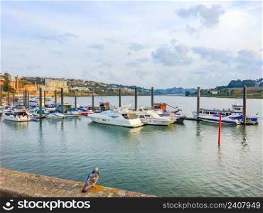 Harbor with moored motorboats, Porto city view in background, Portugal
