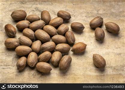 hard shell pecan nuts on textured handmade bark paper