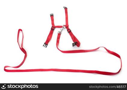 harness and leash in front of white background