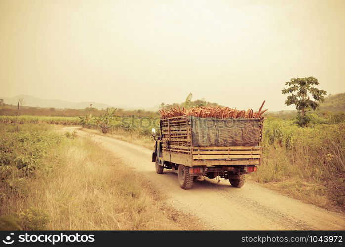 Harvest cassava on truck in the agriculture farmland countryside asia