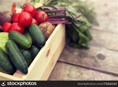 harvest, food and agriculture concept - close up of vegetables on farm. close up of vegetables on farm
