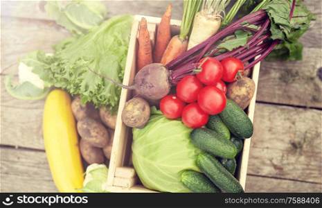 harvest, food and agriculture concept - close up of vegetables on farm. close up of vegetables on farm