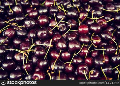 harvest, food, fruits and agriculture concept - close up of cherries