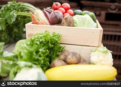harvest, food nd agriculture concept - close up of vegetables on farm. close up of vegetables on farm