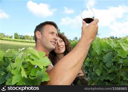 harvest, grapes, vineyard, vine, man, woman, couple, crop, collecting, nature, viticulture, wine growing, wine, agriculture, vintager, grape picker, harvester, vintage, season, business, summer, winegrower, winemaker, vine rows, red wine, glass of wine, testing, drink, 40 years, 40 year ols, caucasian, workers