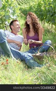 harvest, grapes, vineyard, vine, man, woman, couple, eating, nature, viticulture, wine growing, wine, agriculture, vintager, grape picker, harvester, vintage, season, business, summer, winegrower, winemaker, vine rows, testing, 40 years, 40 year old, caucasian, workers, smiling, sitting, happy