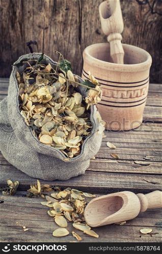 harvest hop cones cut. bag of harvest of dried hop cones in rustic style on wooden background