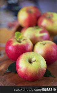 harvest of apples. Fresh harvest of ripe apples. Nature fruit concept.