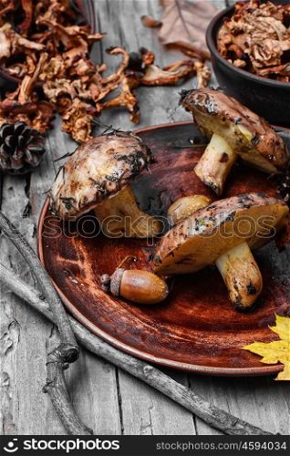 harvest of autumn mushrooms. Plate collected in the forest boletus mushrooms on wooden background