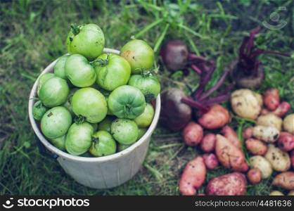 Harvest of fresh vegetables. Harvest of fresh vegetables on the ground