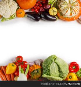 Harvest of many vegetables , top view flat lay background, white copy space for text. Vegetable harvest background