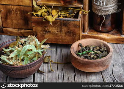 Harvest of medicinal herb. collection of medicinal herbs and plants from the pharmaceutical locker