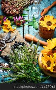 Harvest of medicinal plants. Harvested autumn set of medicinal herbs and flowers