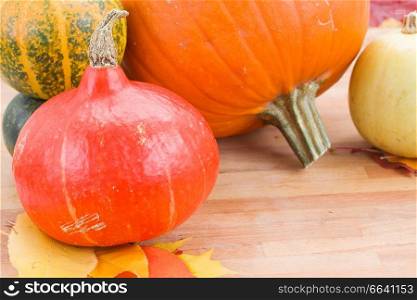 Harvest of pumpkins with fall yellow leaves on a table