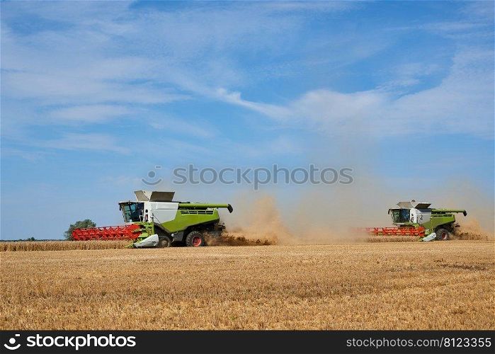 harvest of wheat almost finished