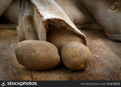 Harvest potatoes in burlap sack on wooden background