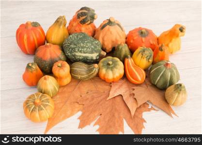 Harvest pumpkins placed on brown autumn leaves
