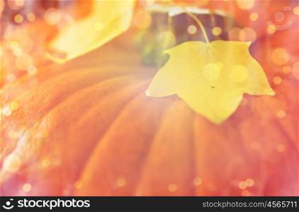 harvest, season and autumn concept - close up of pumpkin and autumn leaves