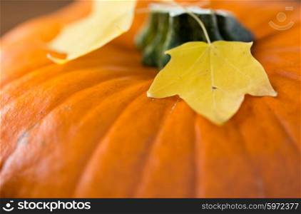 harvest, season and autumn concept - close up of pumpkin and autumn leaves