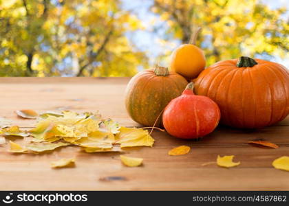 harvest, season and autumn concept - close up of pumpkins and leaves on wooden table over natural background. close up of pumpkins on wooden table outdoors