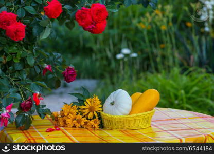 Harvest. summer harvest in garden