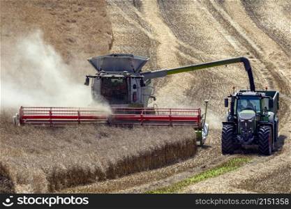 Harvest time - Combine harvester cutting a crop of rape seed in the countryside of North Yorkshire, England.