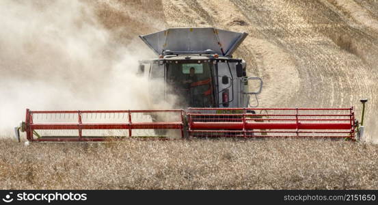 Harvest time - Combine harvester cutting a crop of rape seed on farmland in the countryside of North Yorkshire, England.