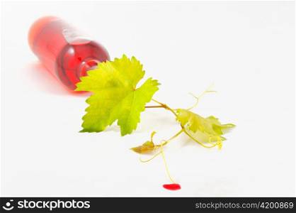 harvest wine isolated on white