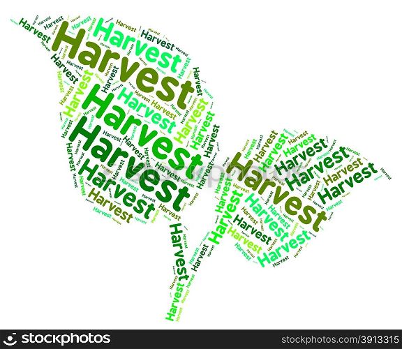 Harvest Word Indicating Plant Harvesting And Grain