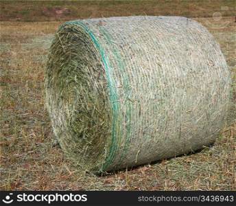 harvested field with hay in summer