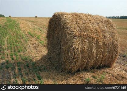 Harvested field with straw bales in summer