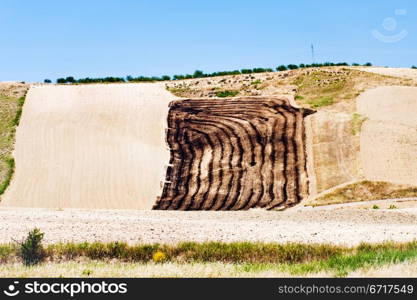 harvested fields on hill slope in Sicily in summer day