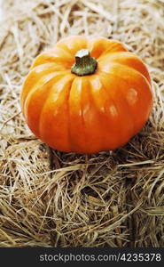 Harvested pumpkin on a hay