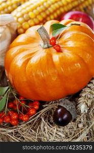 Harvested pumpkins with fall leaves and vegetables