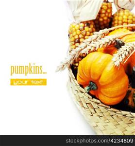 Harvested pumpkins with fall leaves. With easy removable sample text