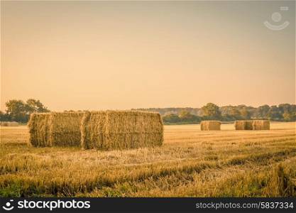 Harvested straw bales on a countryside field