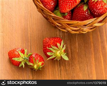 Harvested strawberries in a basket