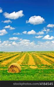 Harvested wheat on farm field with hay bale in Saskatchewan, Canada