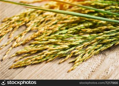Harvested yellow rip rice paddy on wooden table, harvest rice and food grains cooking concept