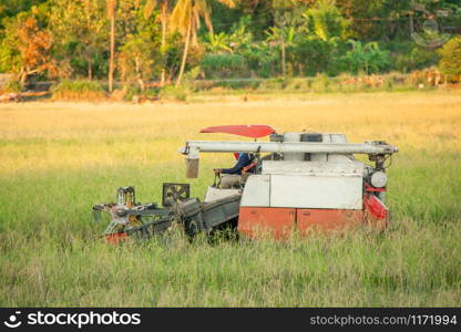 Harvester machine working harvesting rice in the field