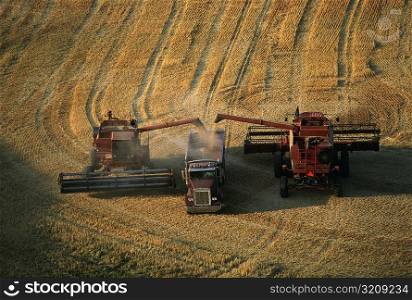 Harvesting golden wheat, Washington state